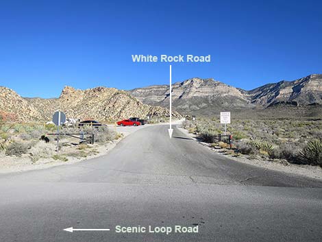 Scenic Loop Road