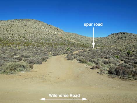 Wildhorse Road