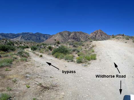 Wildhorse Road