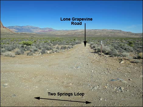 Two Springs Loop