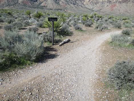 Two Springs Loop Trail
