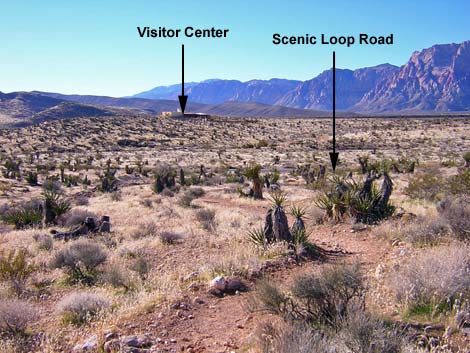 Visitor Center Area Loops