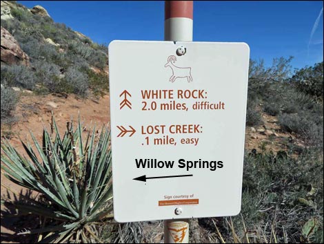 Willow Springs Loop Trail