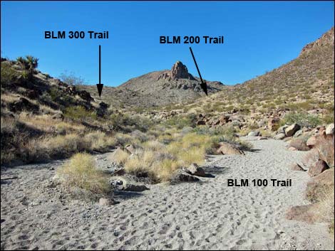 BLM 200 Trail