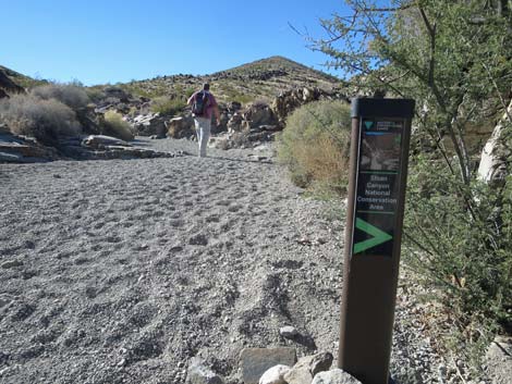 BLM 100 Trail