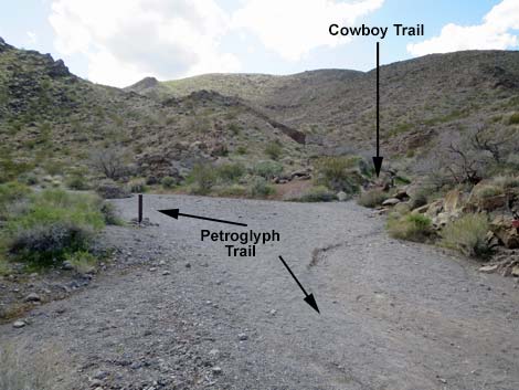 Cowboy Trail