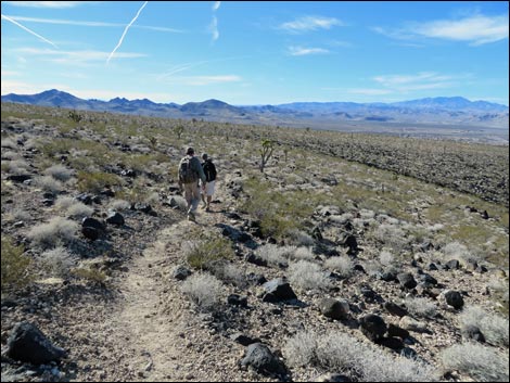 Hikers on trail (view W)