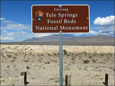 Tule Springs NM