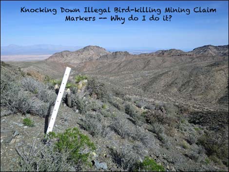 Illegal Bird-killing Mining Claim Marker