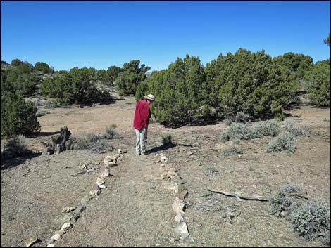 Oak Springs Trilobite Site