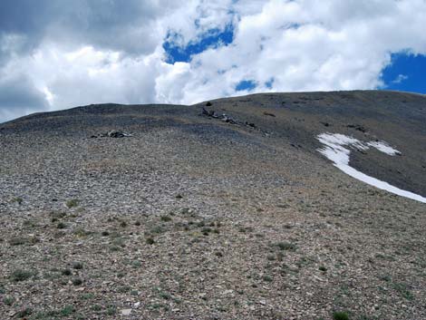 Alpine Tundra (Alpine Life Zone)