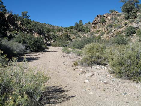 South McCullough Wilderness Area