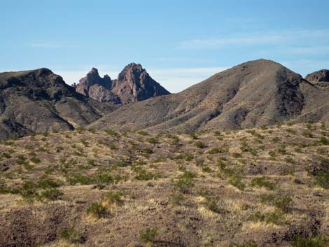 Pinto Valley Wilderness Area