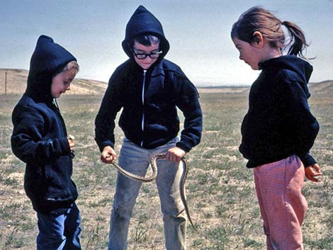 Antelope Valley 1965