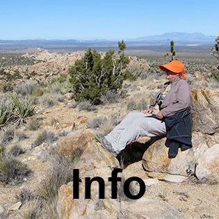 Mojave National Preserve