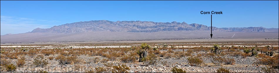 Birding the Desert National Wildlife Range