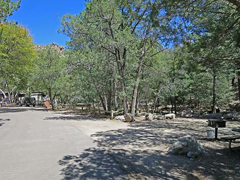 Chiricahua National Monument