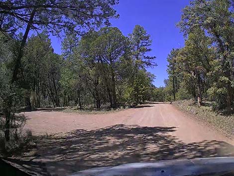 Pinery Canyon Road