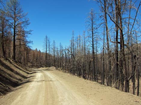 Pinery Canyon Road