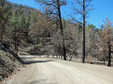 Pinery Canyon Road