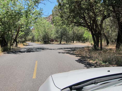 Cave Creek Road