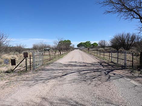 San Pedro Riparian NCA