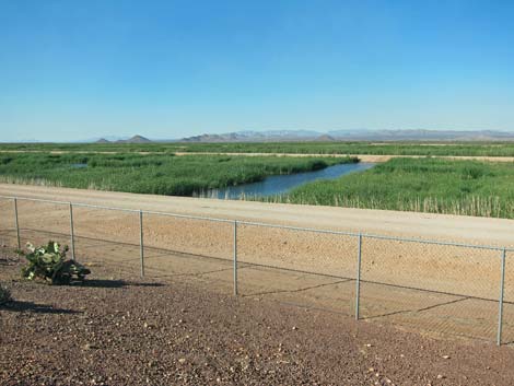 Sierra Vista Environmental Operation Park