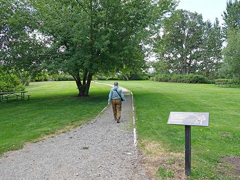 Boardwalk Trail