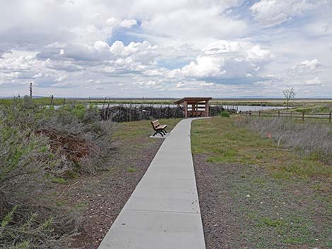 Malheur NWR