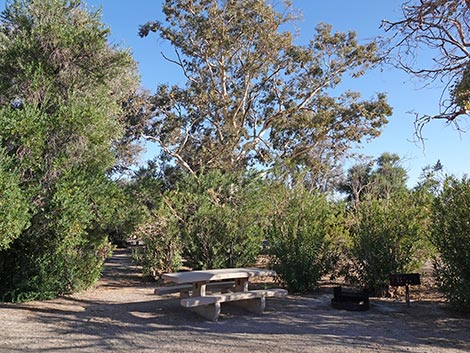 Las Vegas Bay Campground