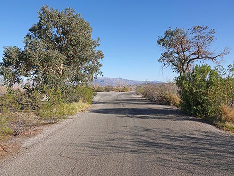 Las Vegas Bay Campground