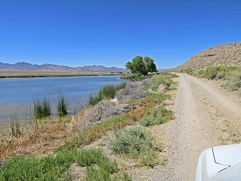 Key Pittman Wildlife Management Area