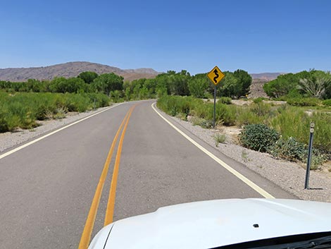 Alamo Road