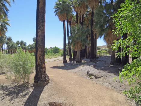 Warm Springs Natural Area