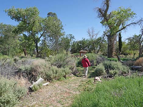 Torrance Ranch