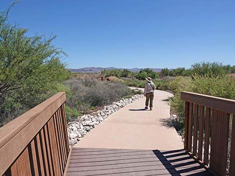 Duck Creek Trails