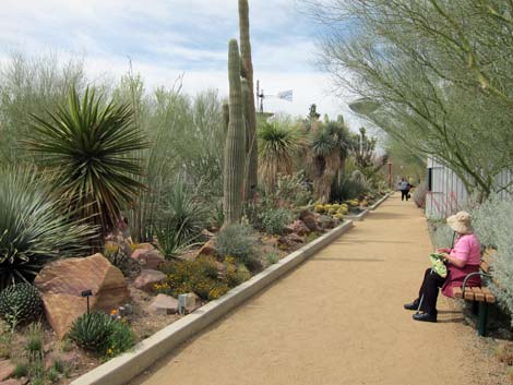 Botanical Garden entrance at the Las Vegas Springs Preserve