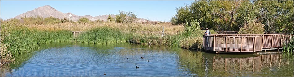 Clark County Wetlands Park