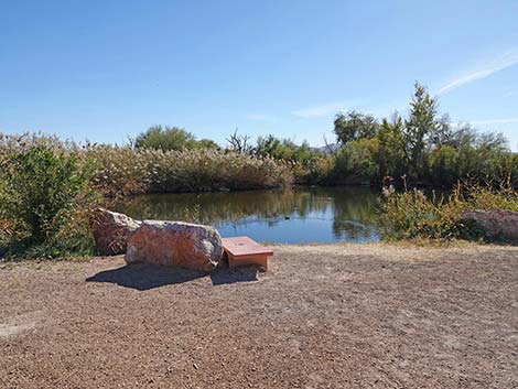 Clark County Wetlands Park