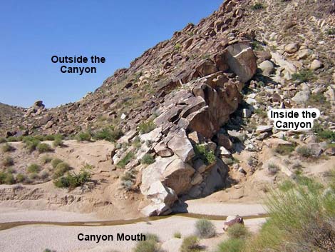 grapevine canyon