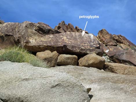 grapevine canyon