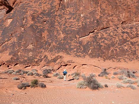 atlatl rock petroglyph