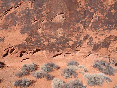 atlatl rock petroglyph