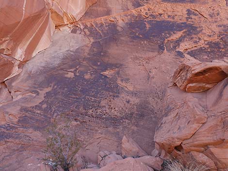 picnic area petroglyphs