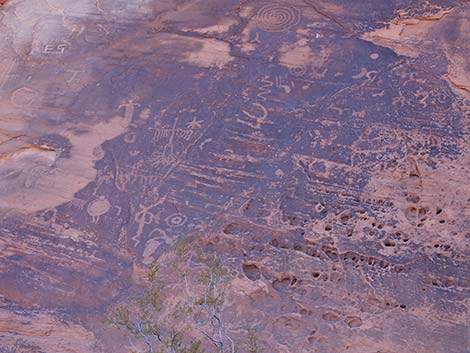 picnic area petroglyphs