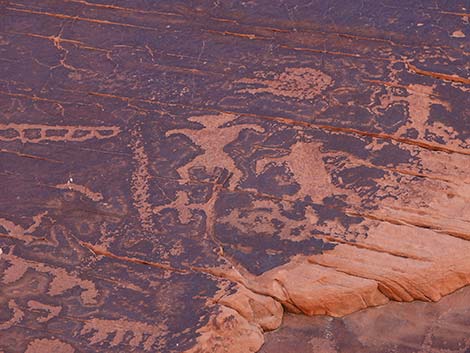 picnic area petroglyphs