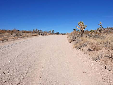 Grasslands Trail