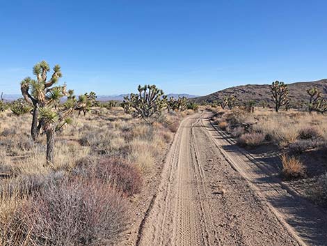 Grasslands Trail