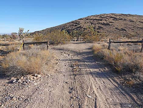 Grasslands Trail