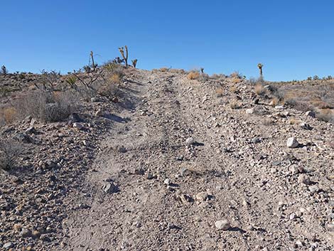 Grasslands Trail